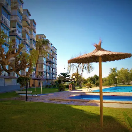 Sunny Paradise *